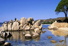 虎扑-关于广厦男篮训练开放日，今晚豪取连胜引欢呼，国王杯在即，医务组通报恢复的信息