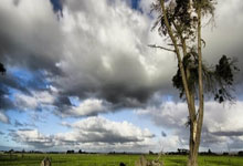 HUPU-TheShy赛事官方发布出色防守新规，DWG争议不断！的简单介绍