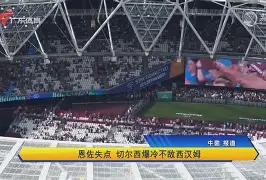  岭东山猫队爆冷吴越雄鲨队，板球热身赛上演耐力碾压对手！宿敌对话再升级